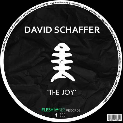 David Schaffer - The Joy [FLSHT025]